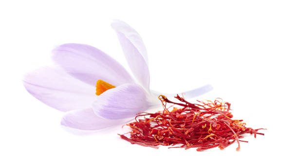 istock Saffron spices with flower in closeup 2195821090