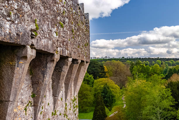 May 3rd 2009 - Blarney, Cork, Ireland Blarney Castle in Ireland in a spring robe, after a storm.