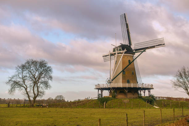 istock Historic Windmill De Windhond in Soest on a Cloudy Day 2195822461