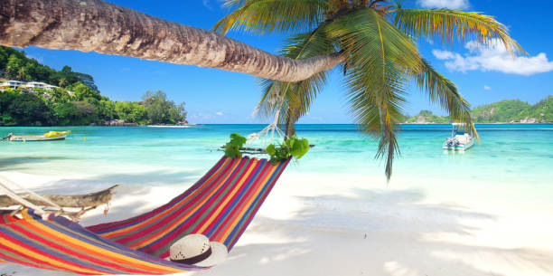 istock unique white sand beach with palm trees and a colorful relaxing hammock 2195831276