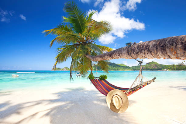 istock amazing white sand beach with coconut palm trees and colorful hammock 2195831477