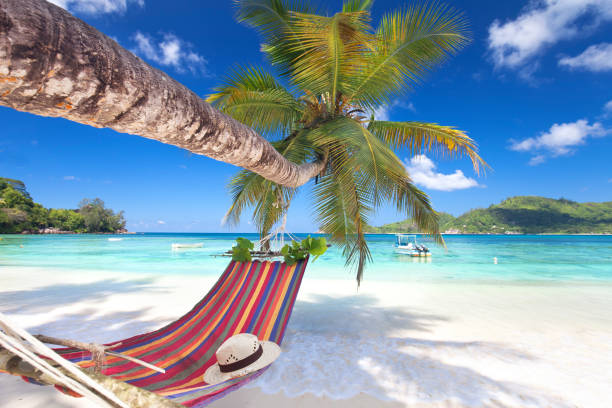 istock amazing beach with red hammock on a palm tree against turquoise sea 2195831485