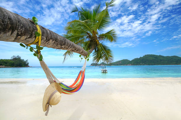 Hammock at tropical beach