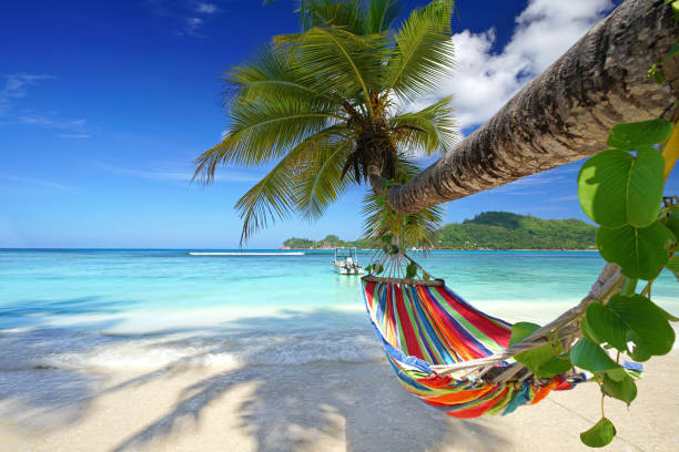 istock amazing beach with red hammock on a palm tree against turquoise sea 2195832835