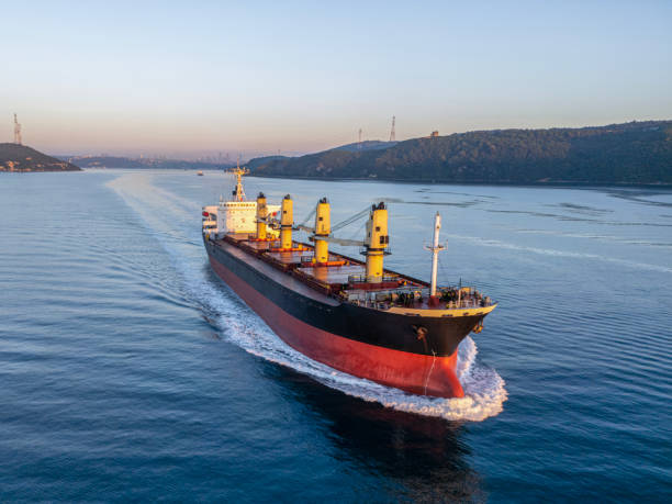 istock Aerial view of cargo ship 2195832920