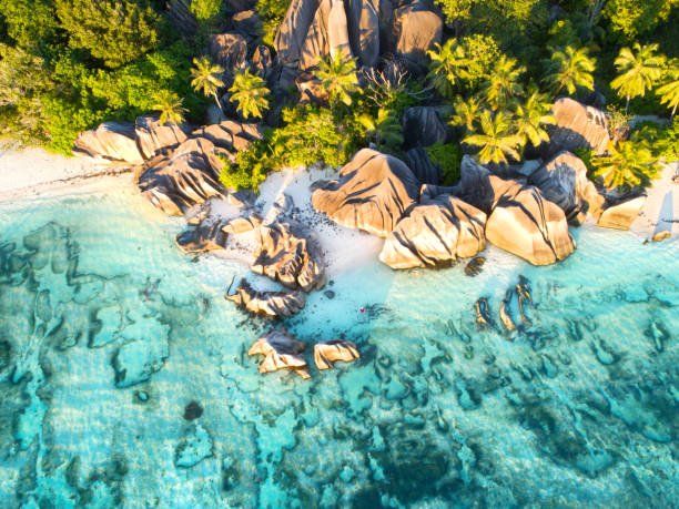 istock the famous beach Anse Source D'Argent  with turquoise water and white sand on Seychelles island 2195833452