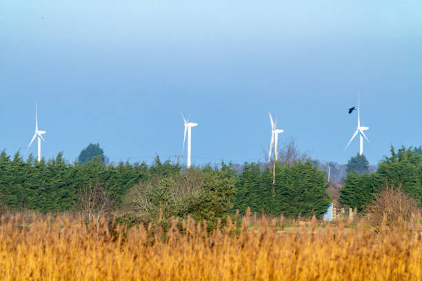 Wind farm in Cambridgeshire.