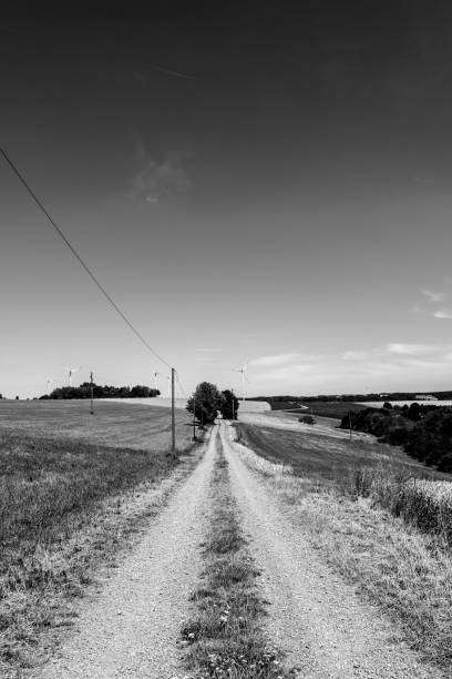 istock Landscape with dirt road in black and white 2195837859