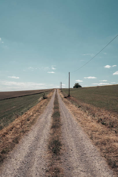 istock Landscape with dirt road in retro style 2195837915