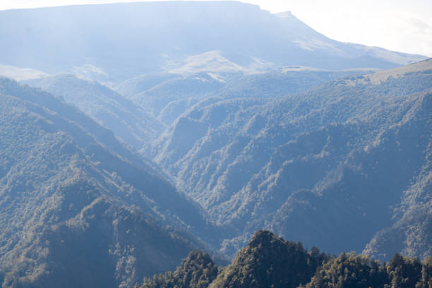 The mountains are covered in trees and the sky is blue. The mountains are very tall and the trees are green