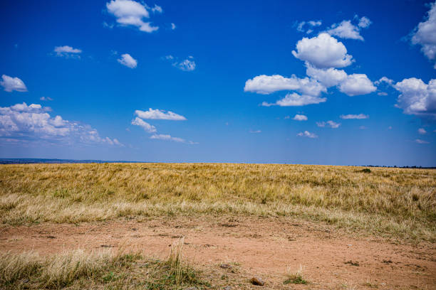 Maasai Mara National Game Reserve Park Narok County Kenyan Landscapes Panoramic Scenic Views Savannah Grasslands Dramatic Clouds Wilderness Great Rift Valley