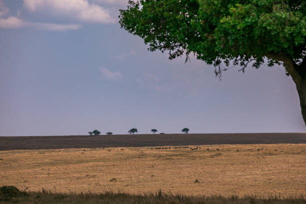 istock Kenyan Landscapes Panoramic Scenic Views Savannah Grasslands Dramatic Clouds Wilderness Great Rift Valley 2195840722