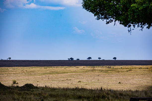 Maasai Mara National Game Reserve Park Narok County Kenyan Landscapes Panoramic Scenic Views Savannah Grasslands Dramatic Clouds Wilderness Great Rift Valley