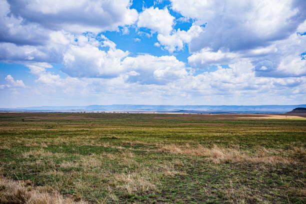 istock Kenyan Landscapes Panoramic Scenic Views Savannah Grasslands Dramatic Clouds Wilderness Great Rift Valley 2195840888