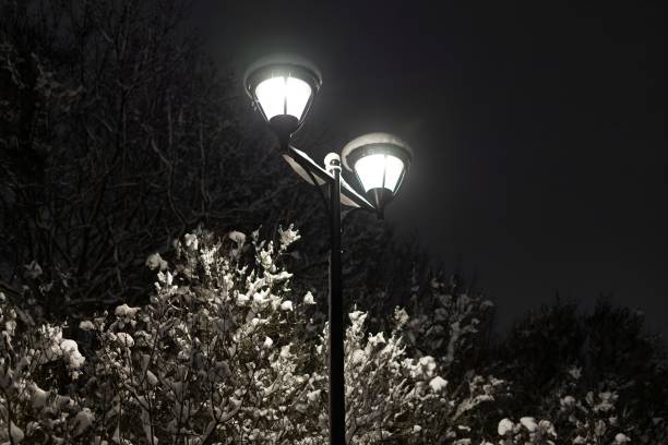 istock Street lamp in the park 2195840947