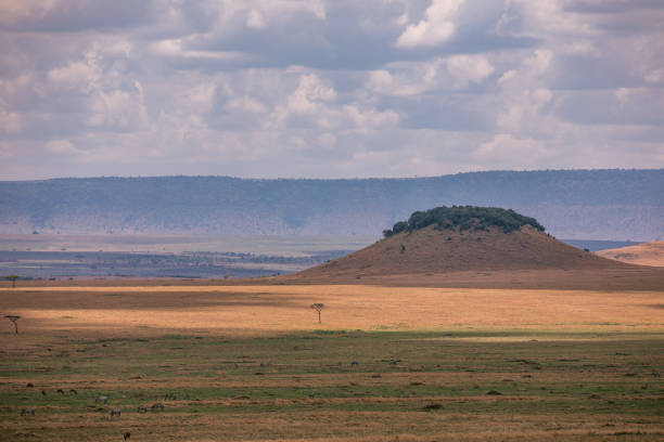 istock Kenyan Landscapes Panoramic Scenic Views Savannah Grasslands Dramatic Clouds Wilderness Great Rift Valley 2195841002