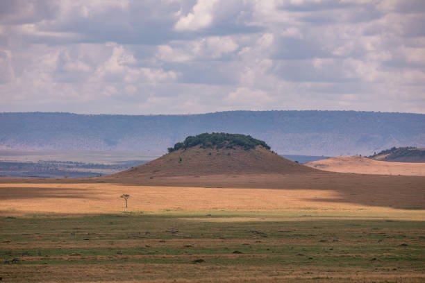 istock Kenyan Landscapes Panoramic Scenic Views Savannah Grasslands Dramatic Clouds Wilderness Great Rift Valley 2195841026