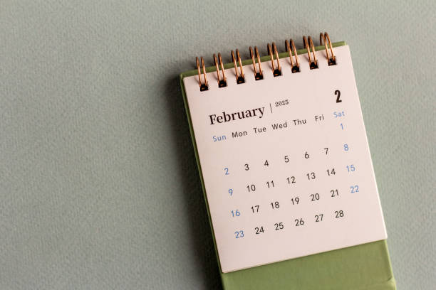 istock Desk calendar for February 2025 on a gray background. 2195841071