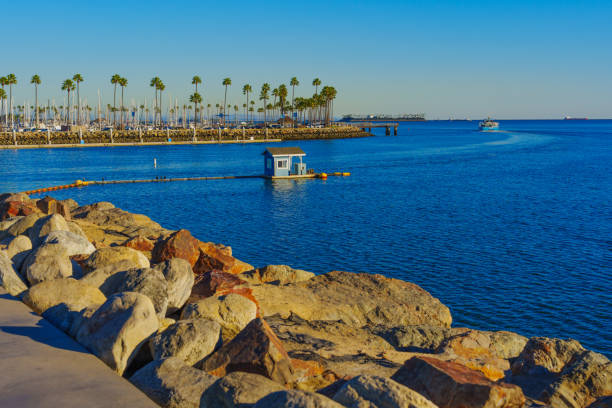 Long Beach, California - January 15, 2025: View of a blue hut on the water with boats and palm trees in the background at Long Beach Marina.