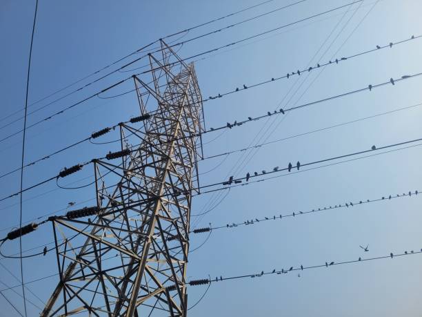 istock Tall electricity pylon against blue sky on sunny day 2195842811