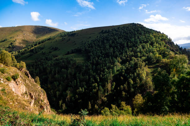 A mountain range with a lush green forest and a clear blue sky
