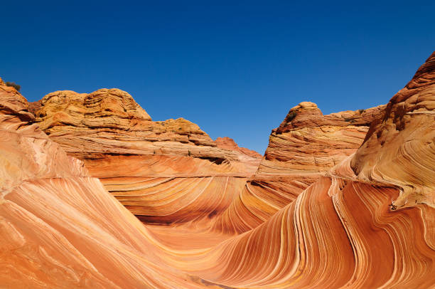 istock The Wave of the Coyote Buttes 2195843510