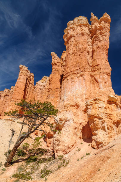 istock Majestic Bryce Canyon N.P. 2195843511