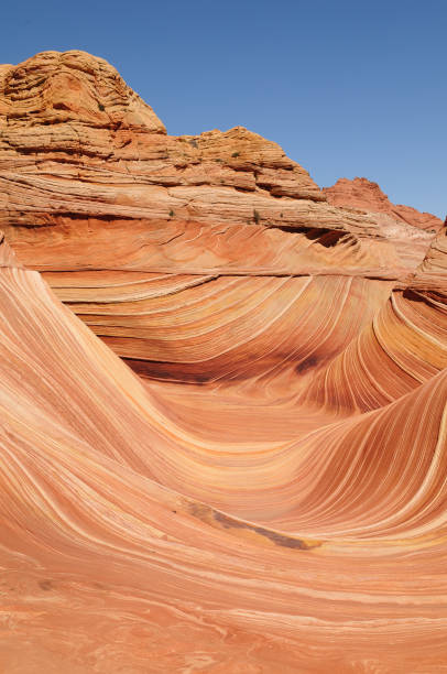 istock The Wave of the Coyote Buttes 2195843514