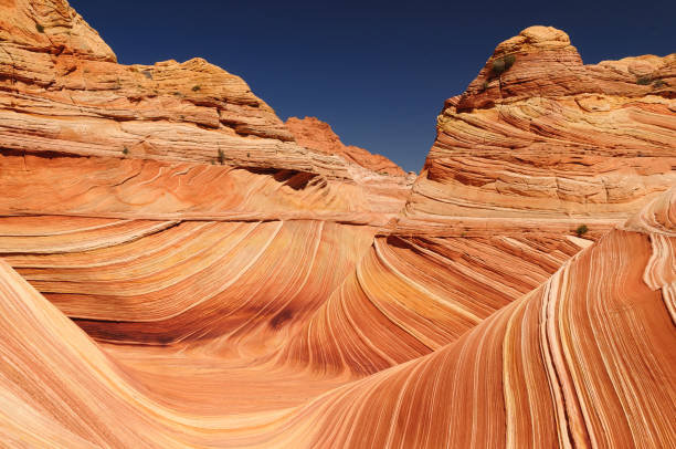 istock The Wave of the Coyote Buttes 2195843518