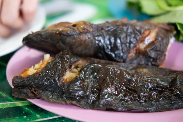 istock Grilled catfish fish on pink dish, Thai food 2195843892
