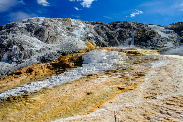 istock Mammoth Hot Springs Travertine Terrace 2195843944