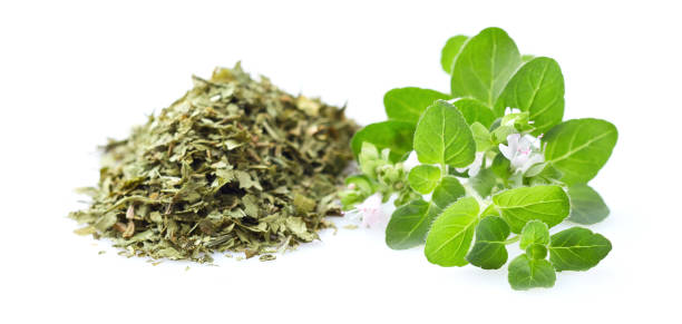 istock Oregano fresh and dry on white background 2195844272
