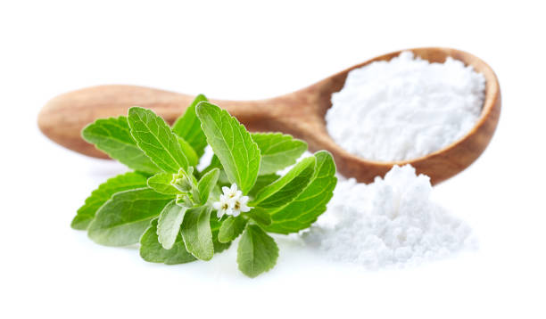 istock Stevia plant  with stevia powder on white background 2195845627