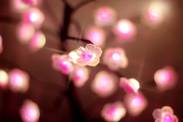 A pink led lamp with cherry flowers