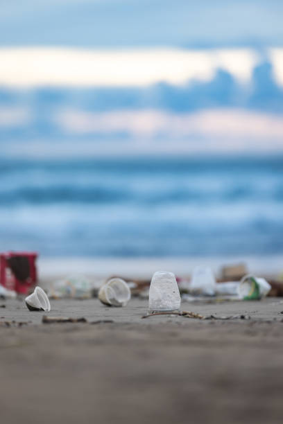 istock Trash piling up on the ocean.Seminyak beach - Bali Island. 2195846094