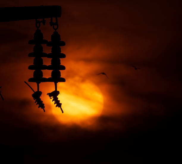 Dramatic sunset scene. Silhouette of an insulator hanging from a lamppost. Red sky, sun and birds in the background.