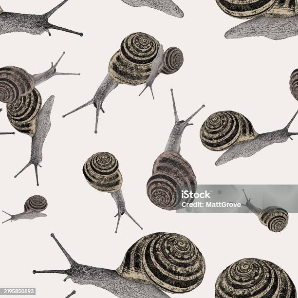 Snail Pattern Background Garden Snails Seamless Repeat Pattern Stock Illustration - Download ...