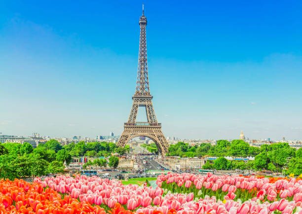 istock eiffel tour and from Trocadero, Paris 2195857198