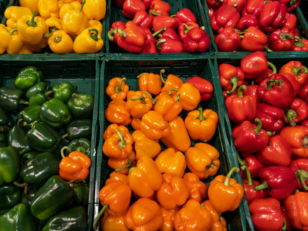 istock Fresh Colorful Bell Peppers in a Market Display 2195857822