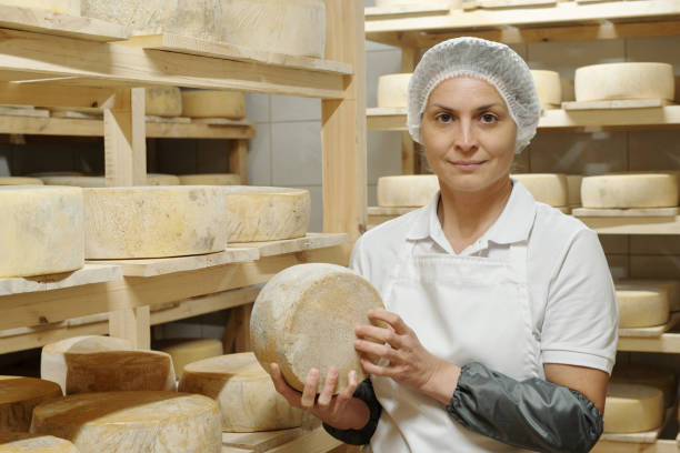 istock Inspecting Round Cheese in Aging Room Shelf 2195859316