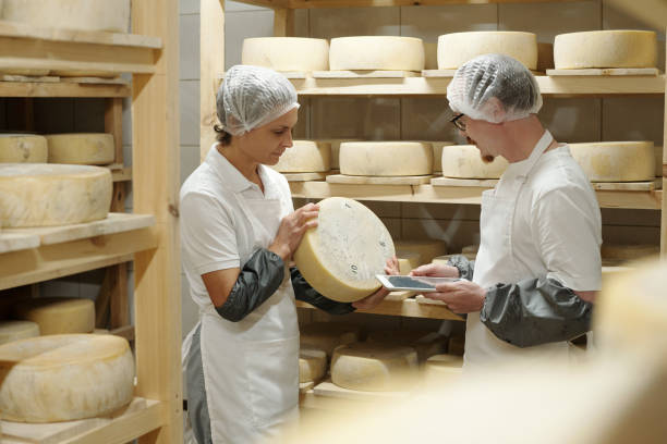 Discussing Cheese Quality in Modern Cheese Factory