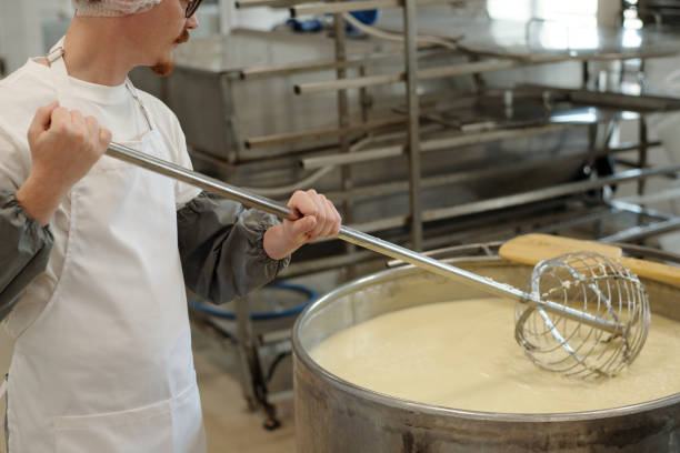 istock Inspecting Cheese Production at Dairy Facility 2195859332