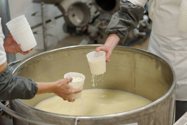 istock Preparing Fresh Cheese in Large Industrial Vat 2195859375