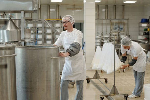 istock Manufacturing Cheese in Industrial Kitchen Setting 2195859386