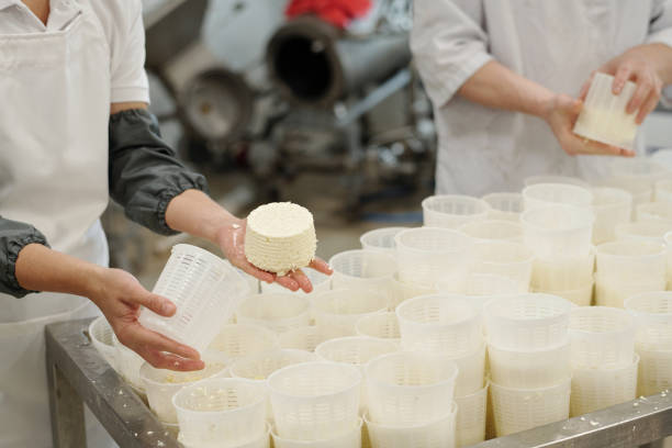 istock Preparing Freshly Made Cheese in Factory Setting 2195859387