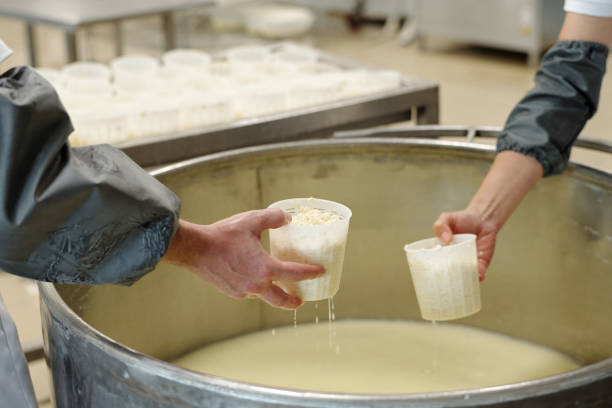 istock Preparing Dairy Product in Industrial Environment 2195859392