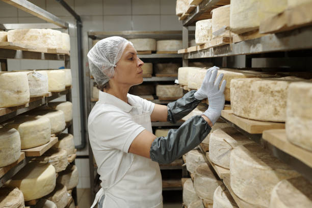 istock Inspecting Cheese Wheels in Maturation Room 2195859423