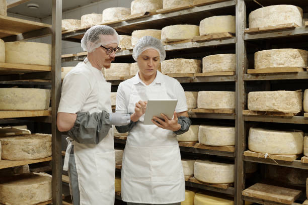 istock Inspecting Cheese Wheels in Storage Room 2195859443