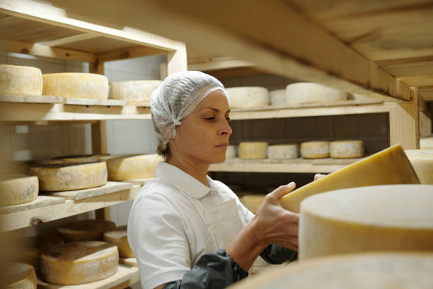 istock Inspecting Cheese in Storage Room for Quality Control 2195859445