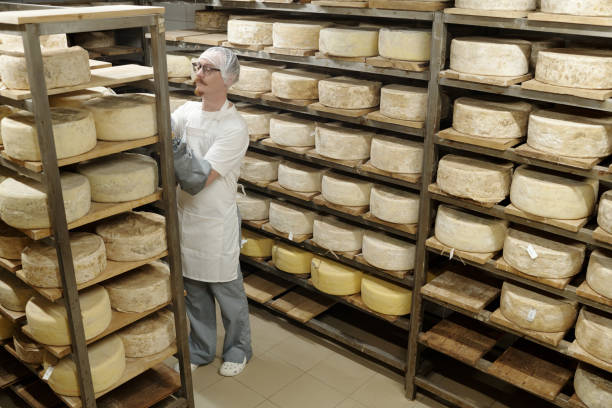 istock Quality Checking Shelf-Ripened Cheese Wheels in Dairy 2195859453